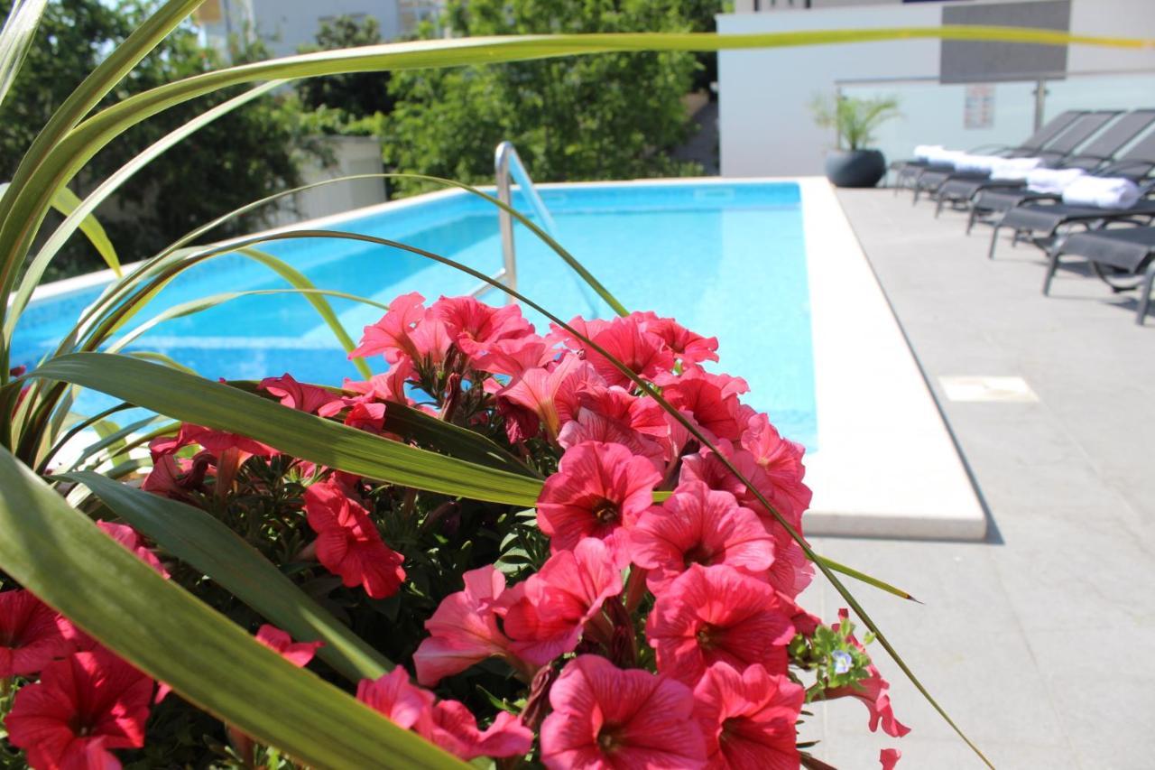Luxury Apartment Antoni Podstrana Ngoại thất bức ảnh